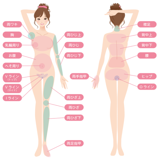 各部位の説明図